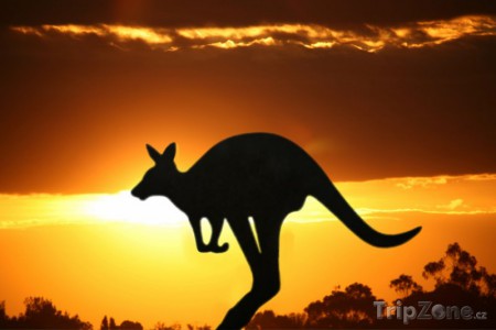 Skippy